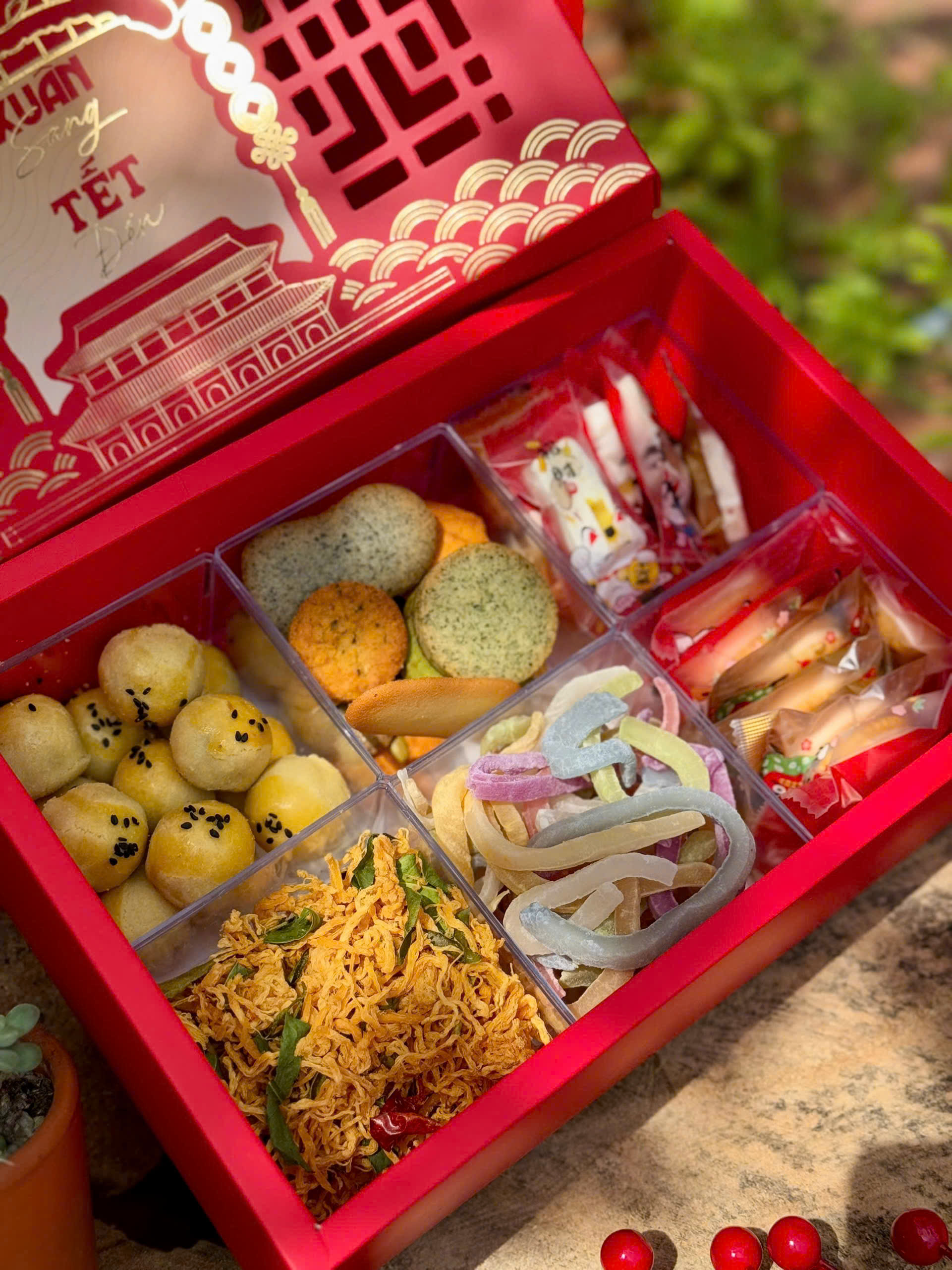 Xuân Sang Tết đến 2